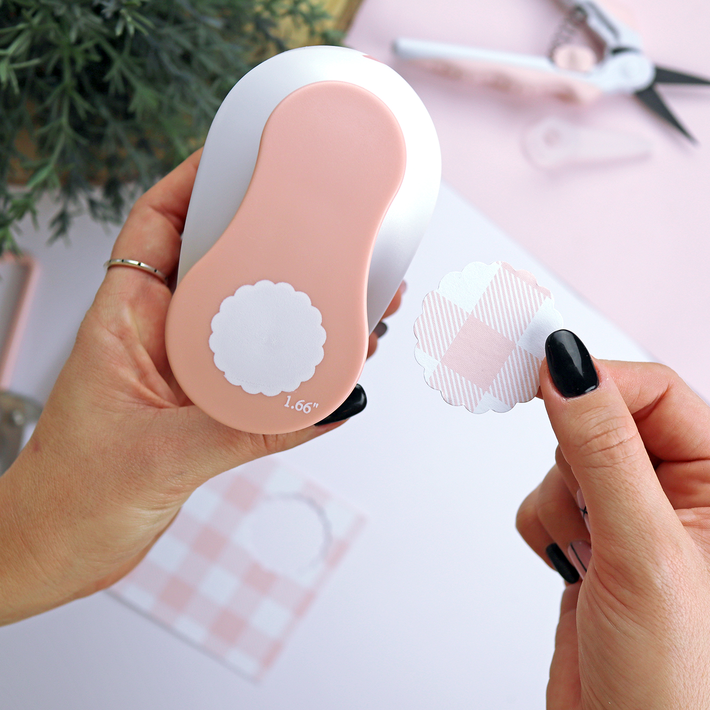 Troqueladora Galleta Alúa Cid