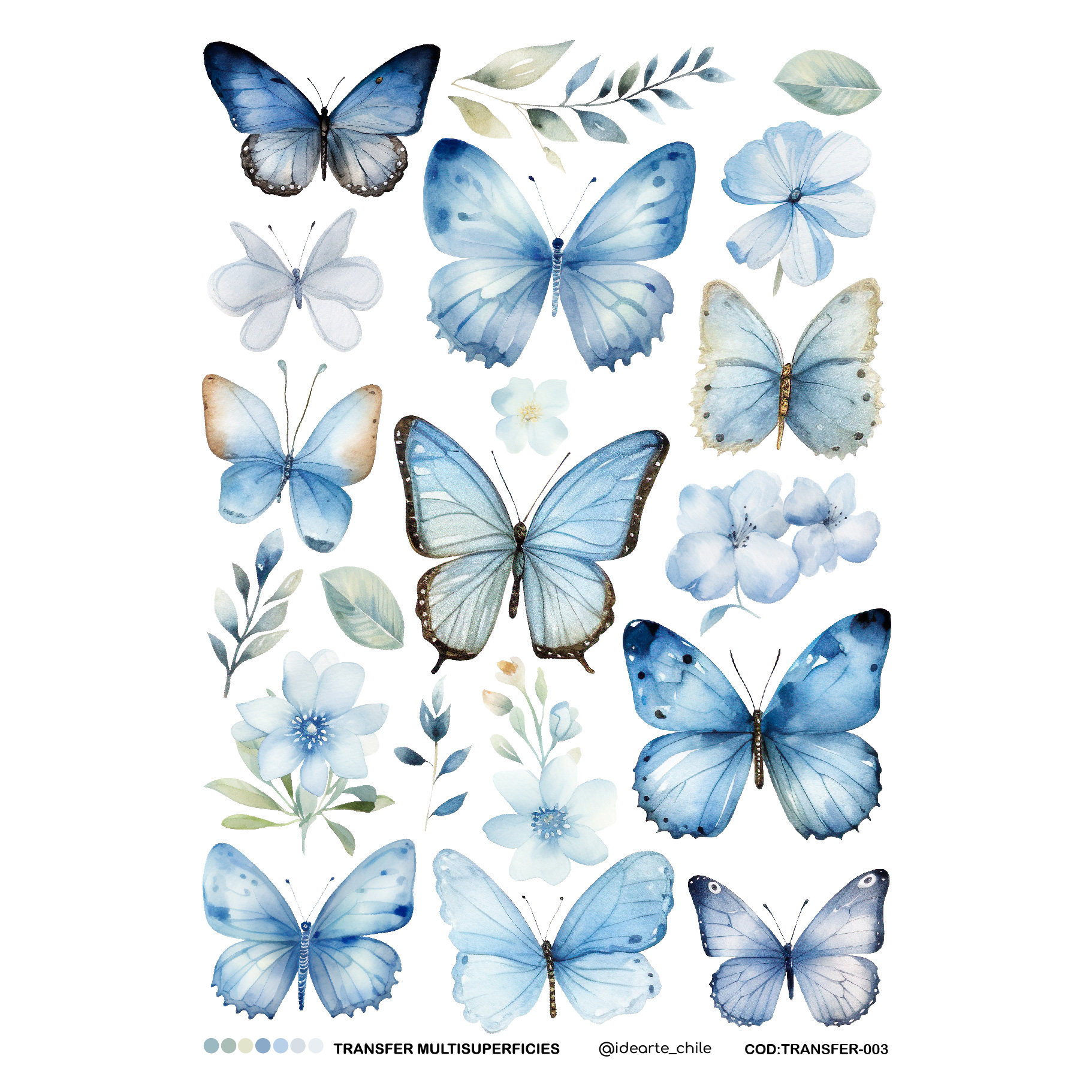 Transfer B5 Mariposa Azul