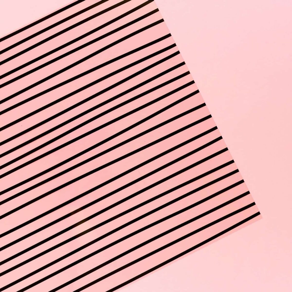 Acetato Rayas - Sami Garra